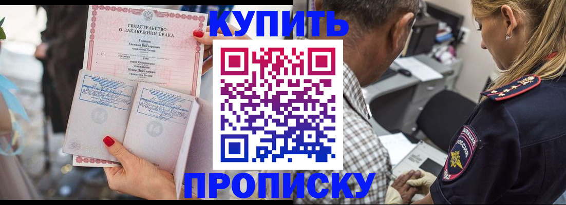 прописка законно в Шадринске
